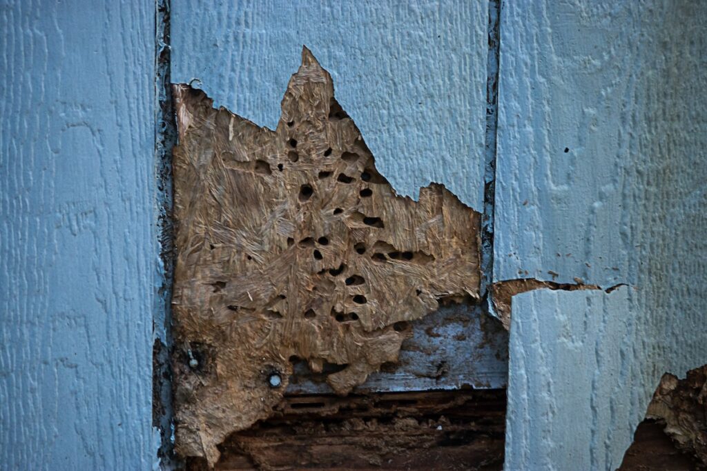 old cracked discolored siding on house in need or repair rotten wood siding