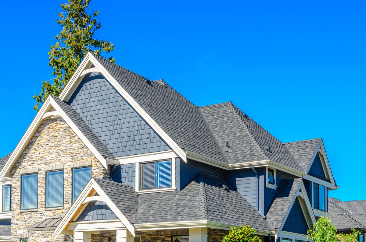 gray asphalt shingle roof