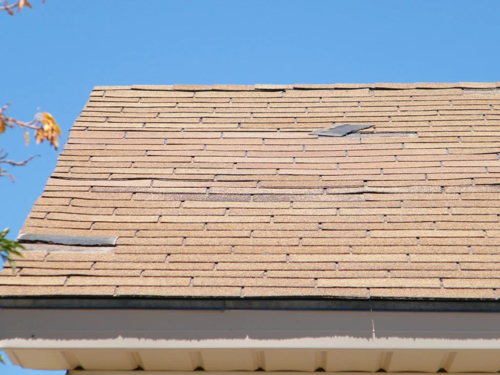 Damaged roof shingle