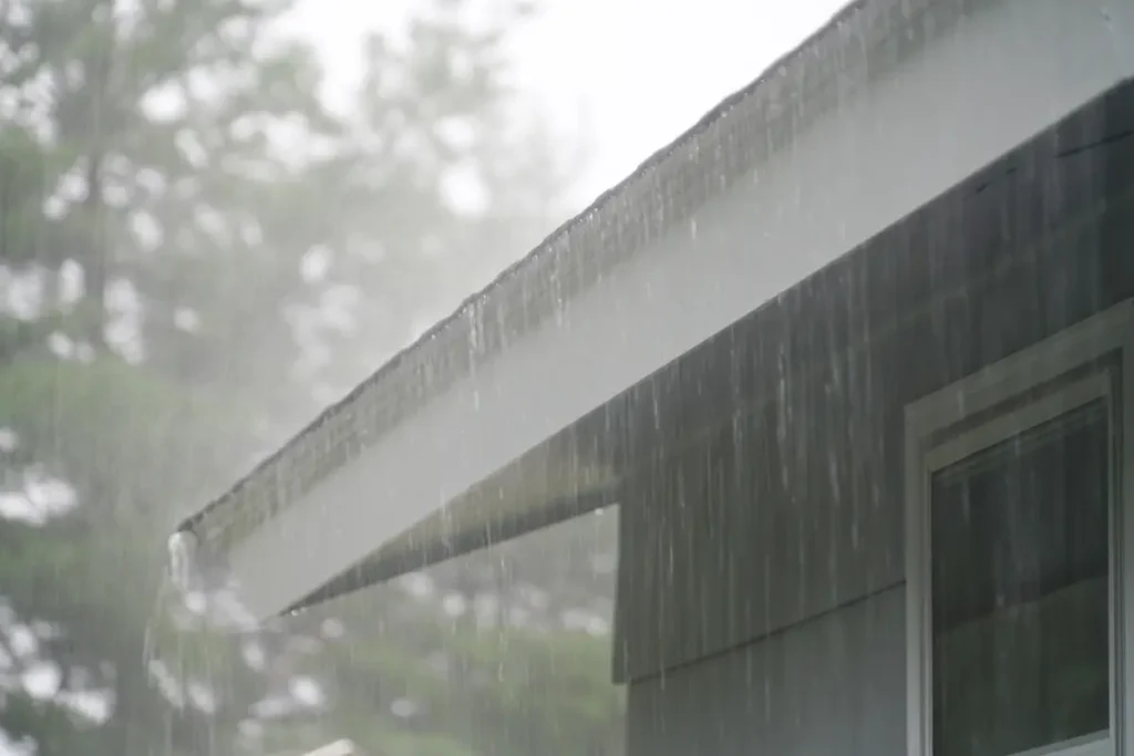 rainy roof