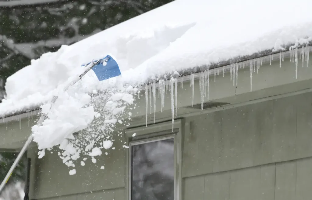 roof rake