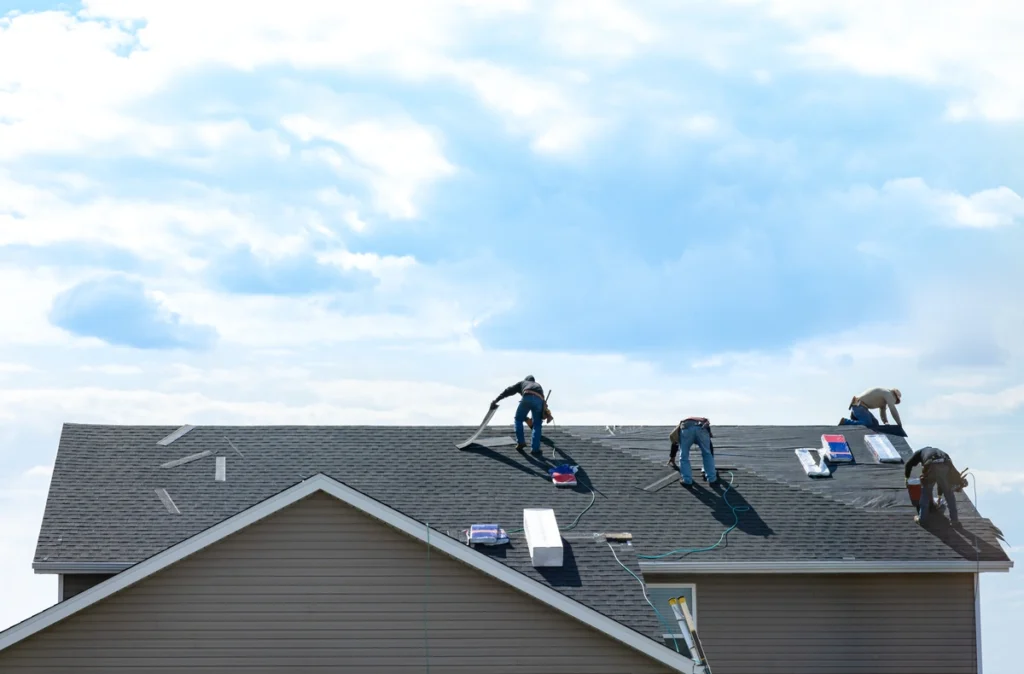 shingle roof roofers home