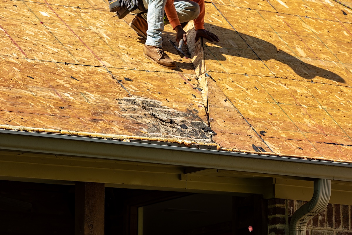 Dry Rotted Ceiling What Is Roof Dry Rot (Inspect, Diagnose, & Repair)
